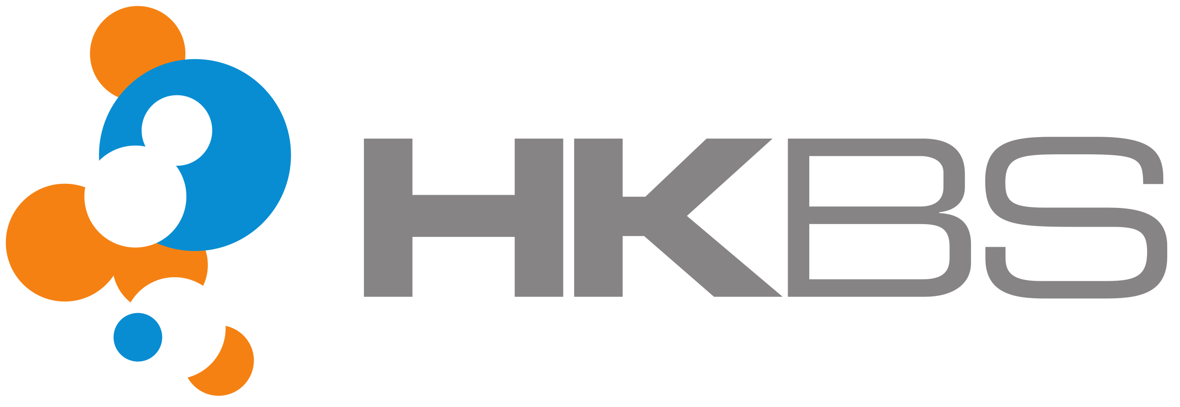 HK-BS Logo